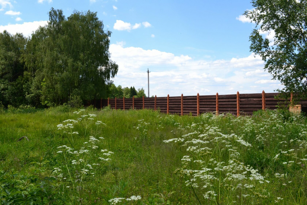 Коттеджный поселок в лесу