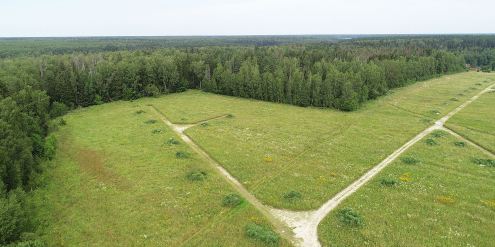 Участки на берегу Чудского озера в 2021 году