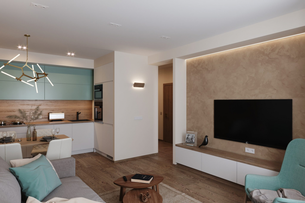 Евродвушка зонирование