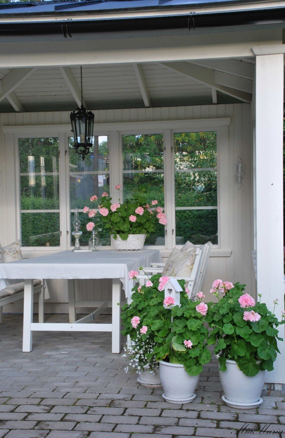 Идеи с геранью