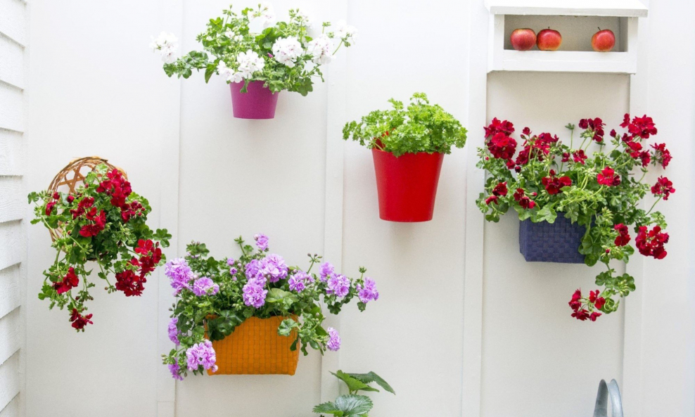 Красивые горшки на балконе