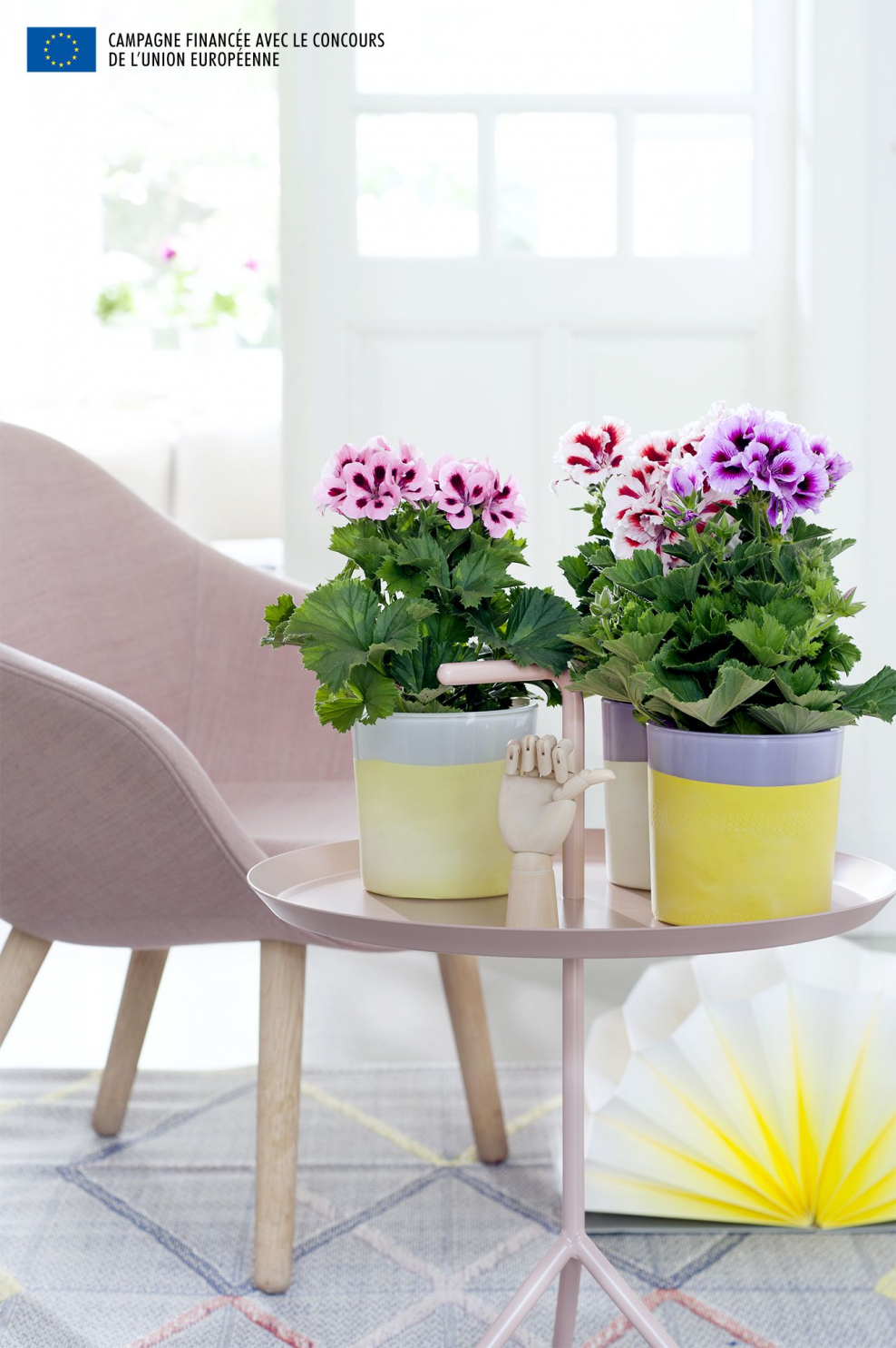 Горшок для герани комнатной