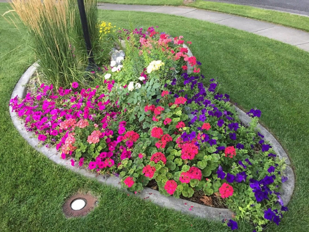 Цветочные клумбы на даче