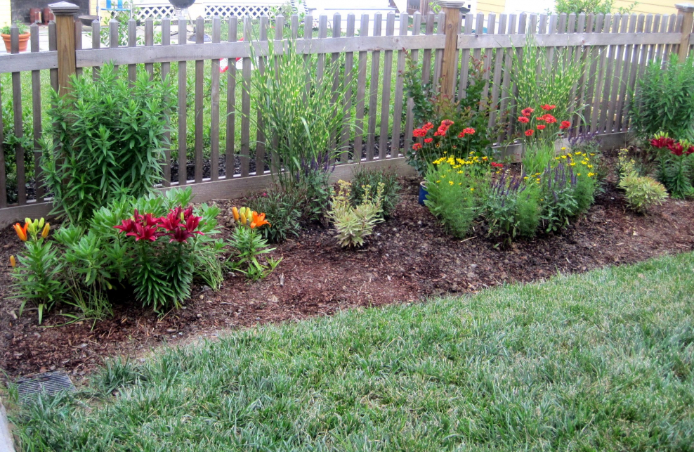 Клумба обычная