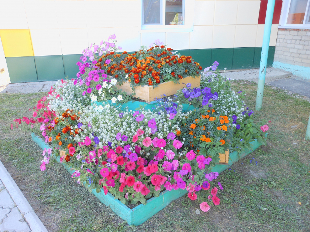 Клумбы в учреждениях