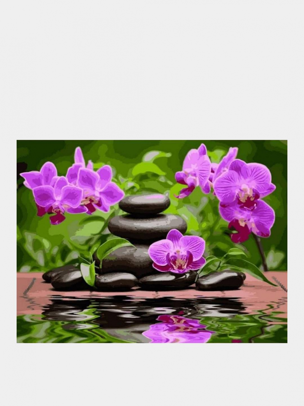 Картина по номерам орхидеи шаблон