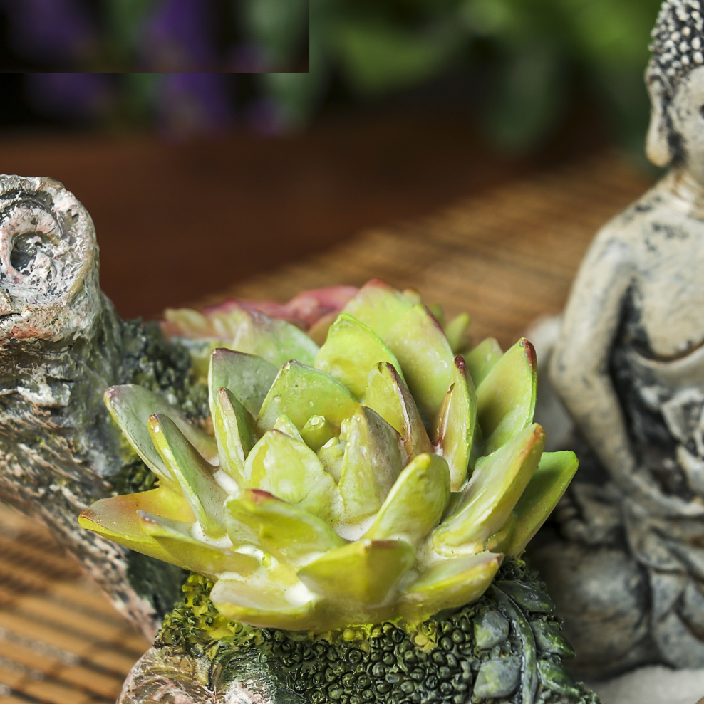 Сад дзен Будда в саду камней