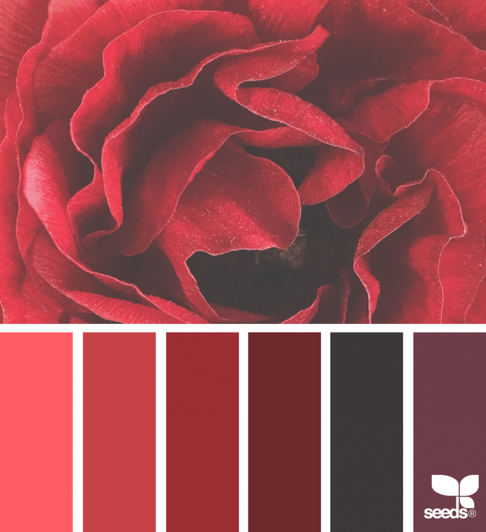 Палитра сочетания цветов красный