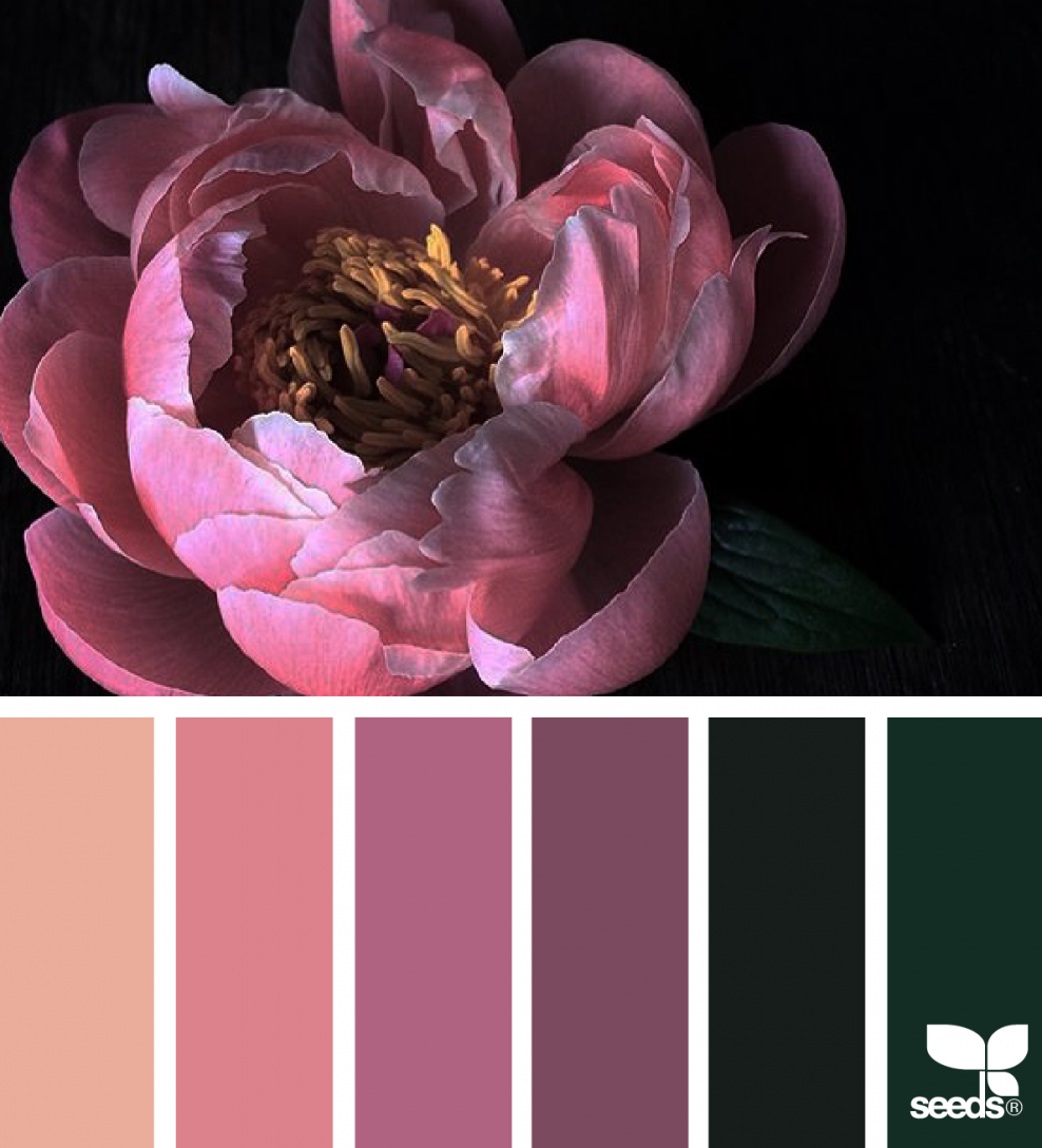 Палетки цветов для дизайнера