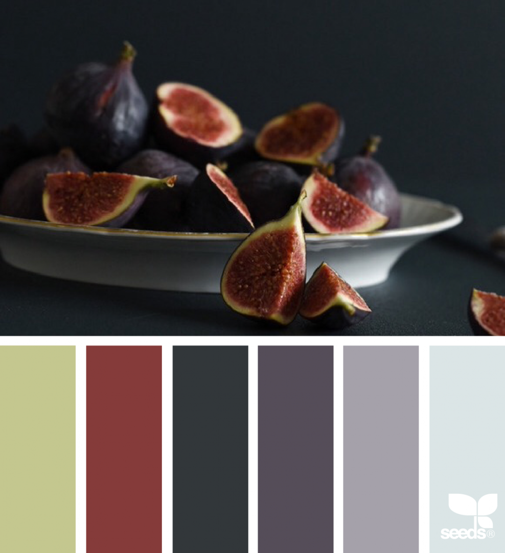 Цветовая палитра инжир