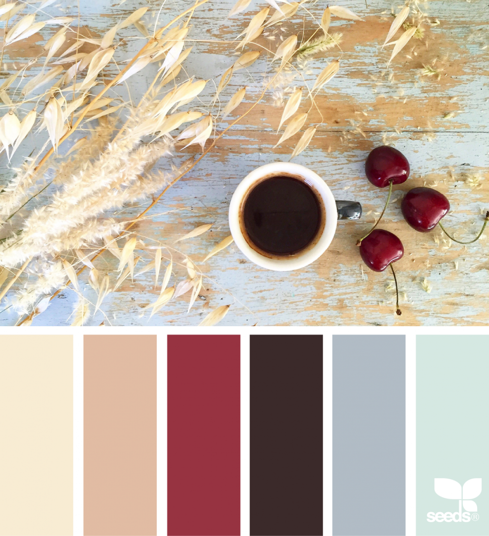 Seeds Color Palette красный