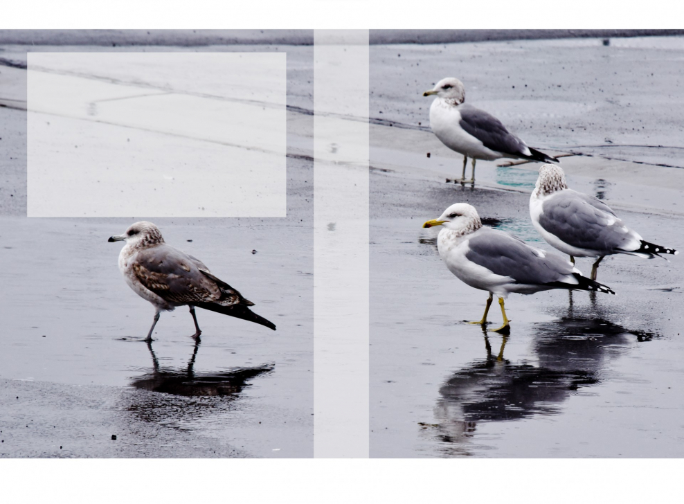 Мобиле Дании