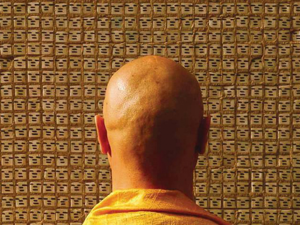 Shebbua брошь Чайка