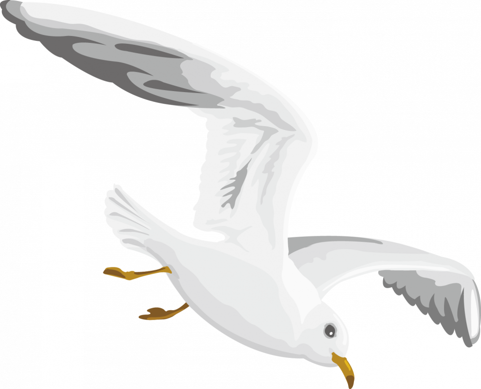 Синяя Чайка машина