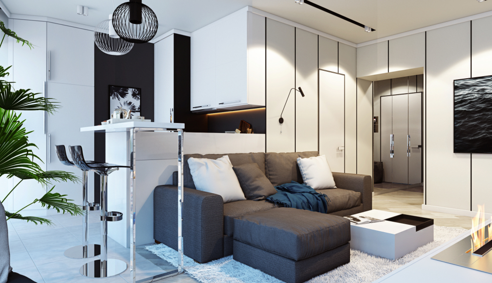 Чайки черно белые