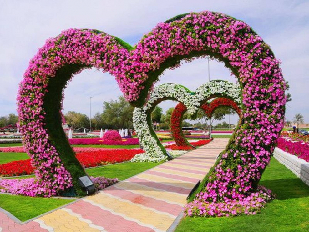 Клумба в форме сердца