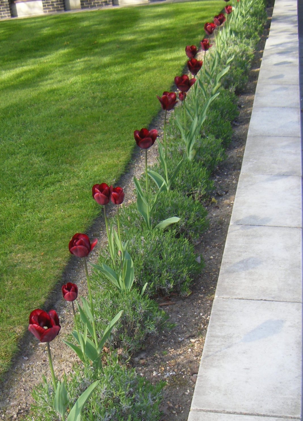 Рабатка вдоль забора