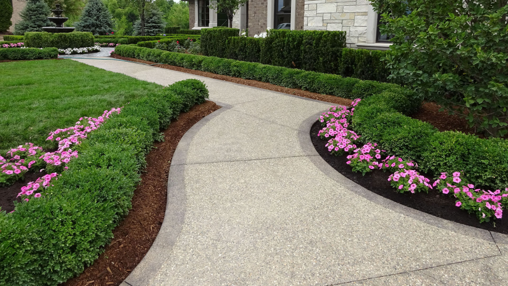 Цветник вдоль дорожки