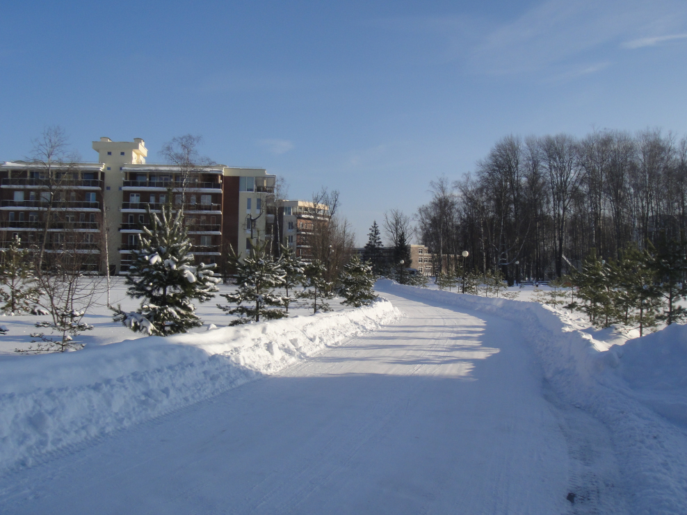 Витро Виладж Подольск база отдыха