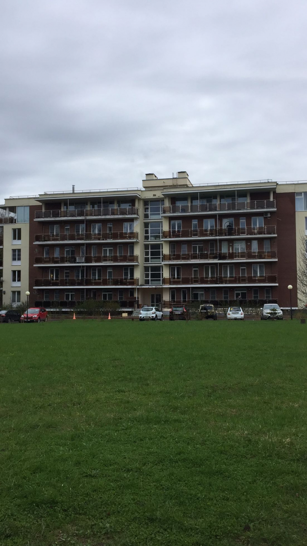 Vitro Village кленово