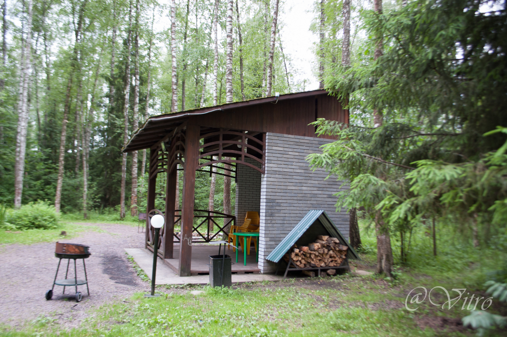 Vitro Village кленово