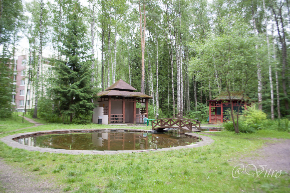 Витро Вилладж база отдыха кленово