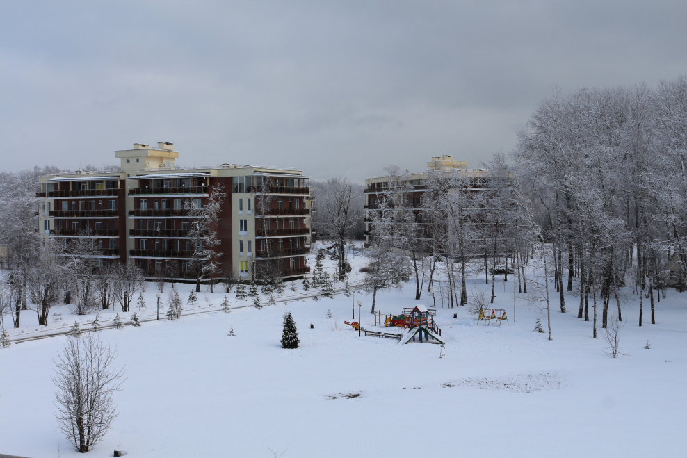 База отдыха в Подмосковье Витро Вилладж