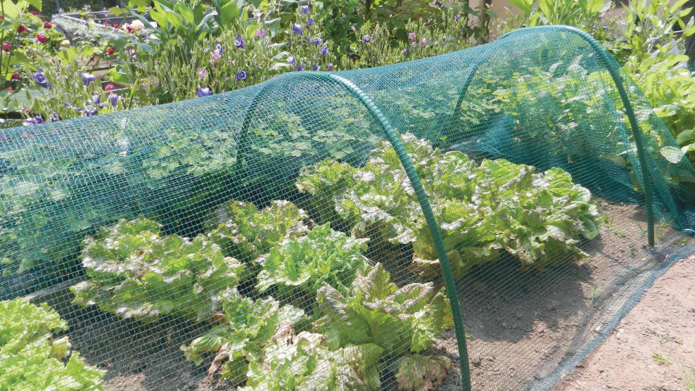 Сетка для огорода