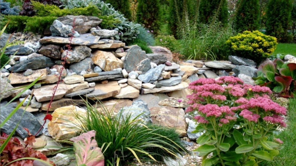 Каменистый рокарий