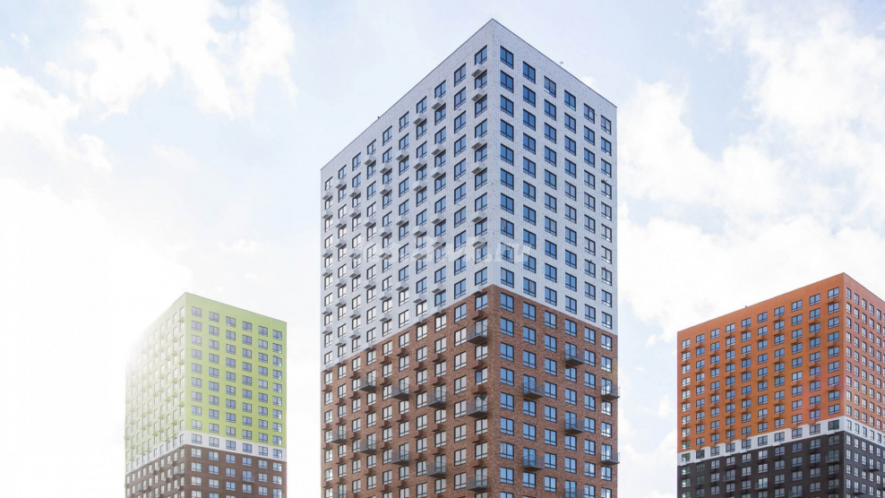 Пик паркинг Мещерский лес