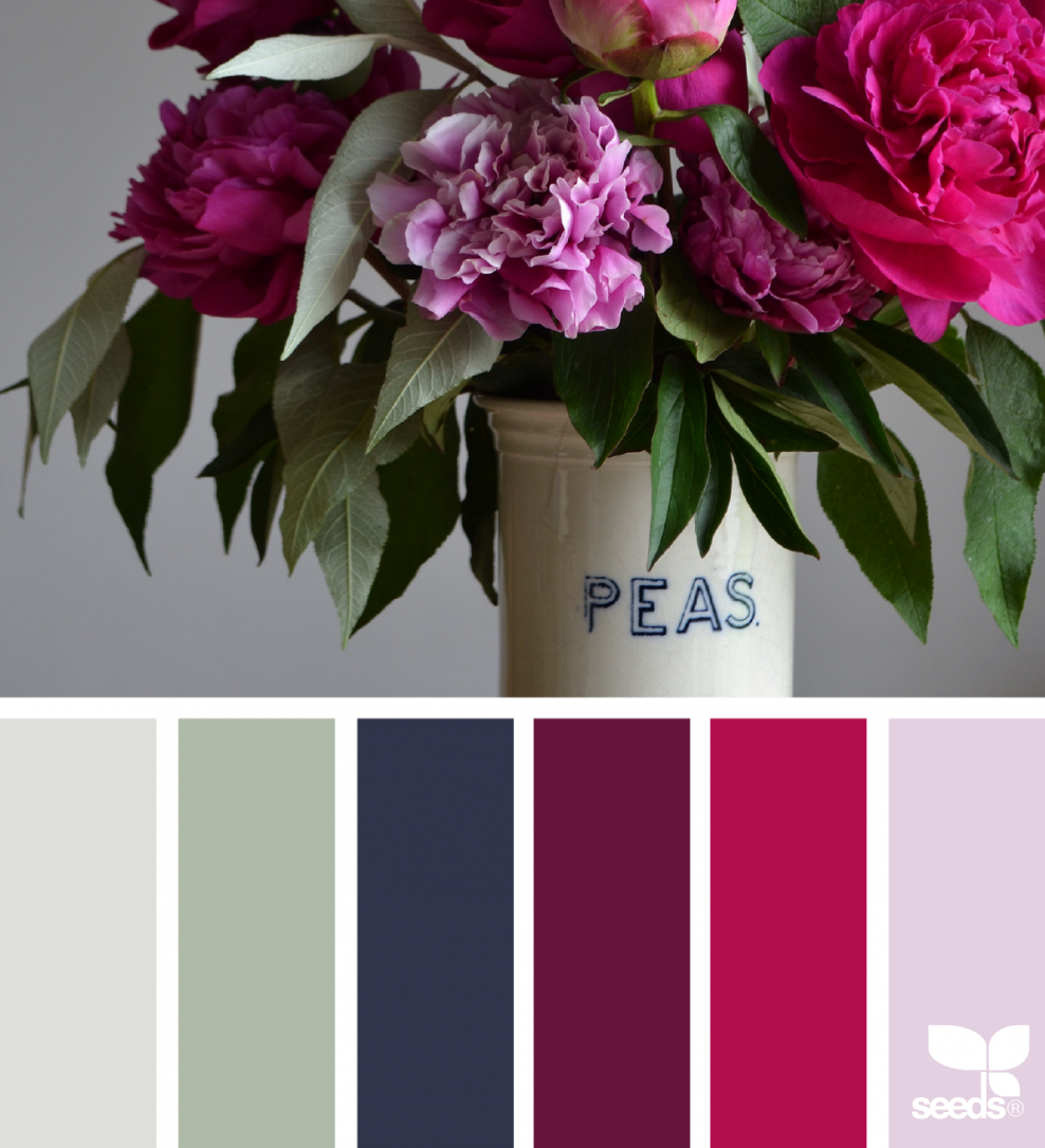 Палитра сочетания цветов