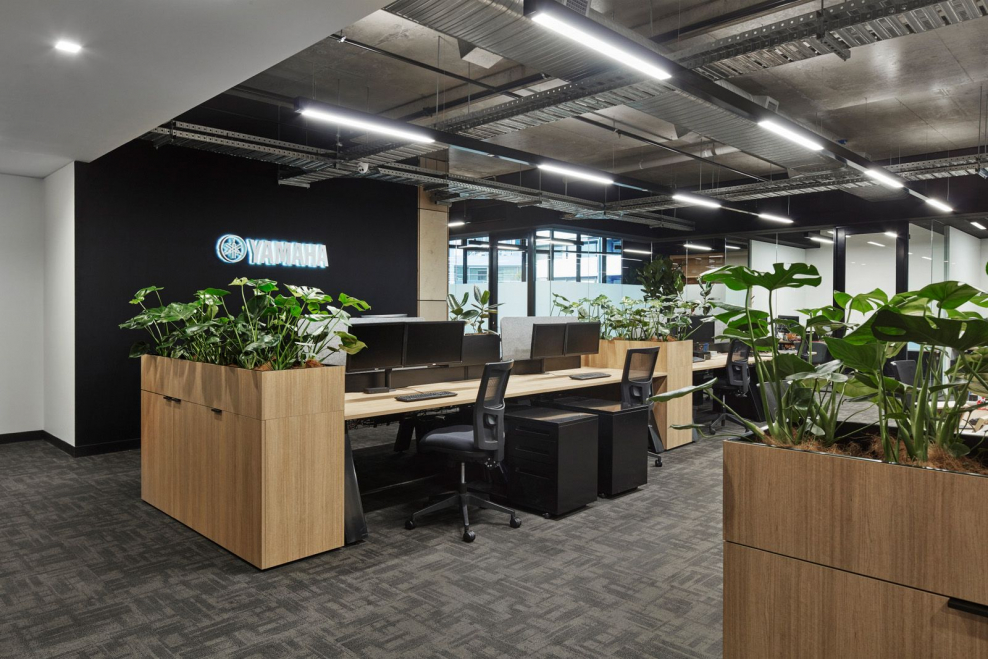 Офис open Space зеленый