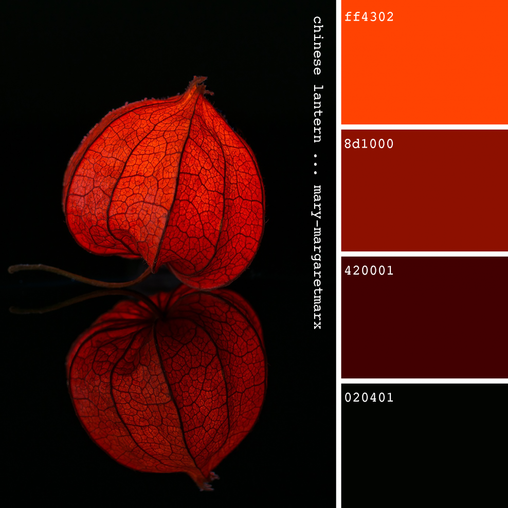 Крупнейшие действующие вулканы на карте