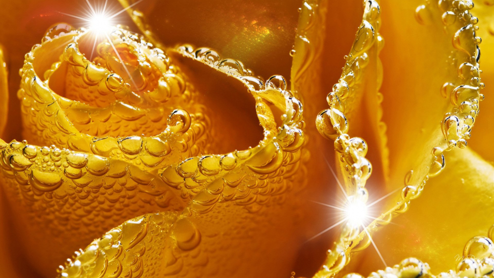 Золотистый фон