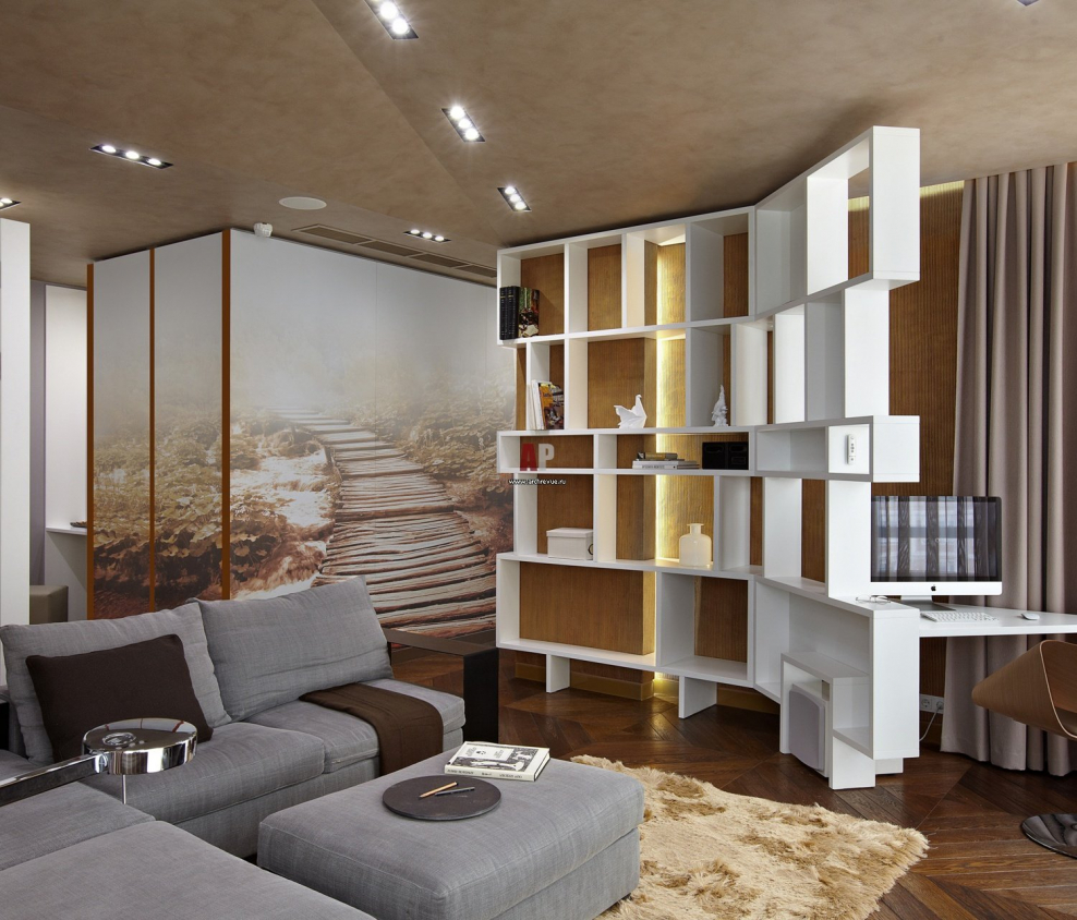 Мебельная перегородка для зонирования комнаты