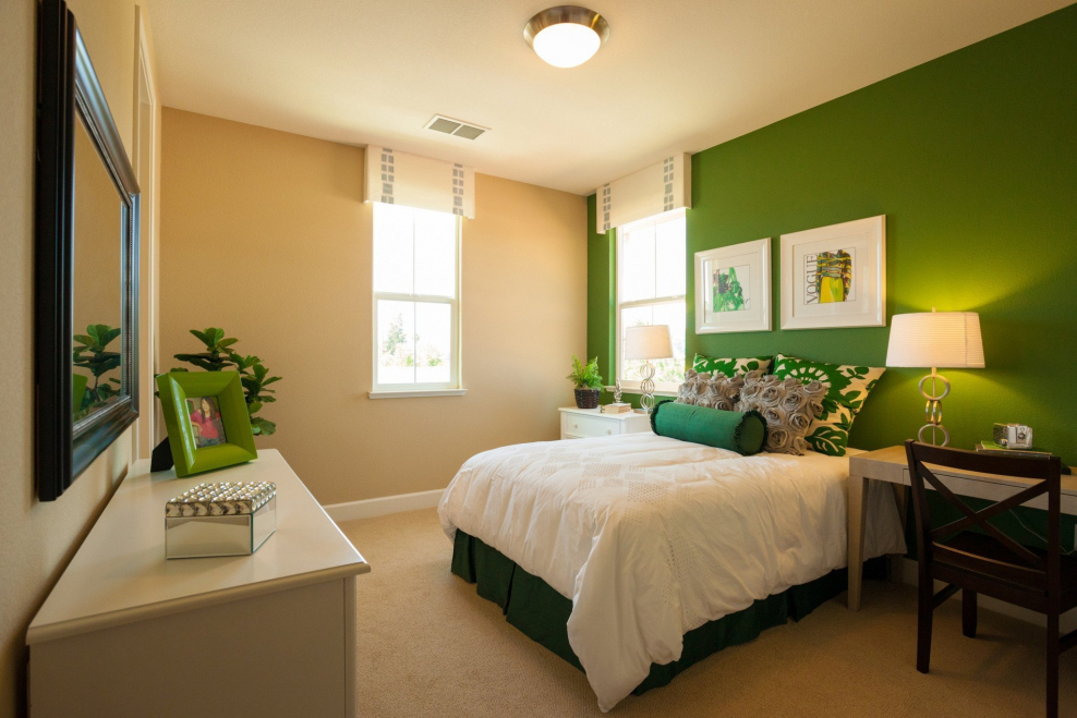 Комната с зелеными стенами