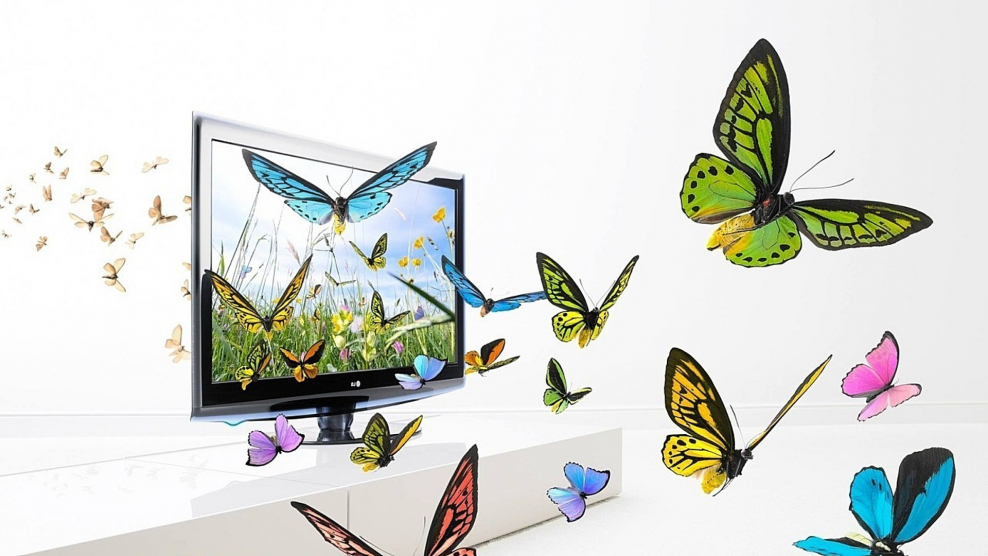 Обои бабочки 3d