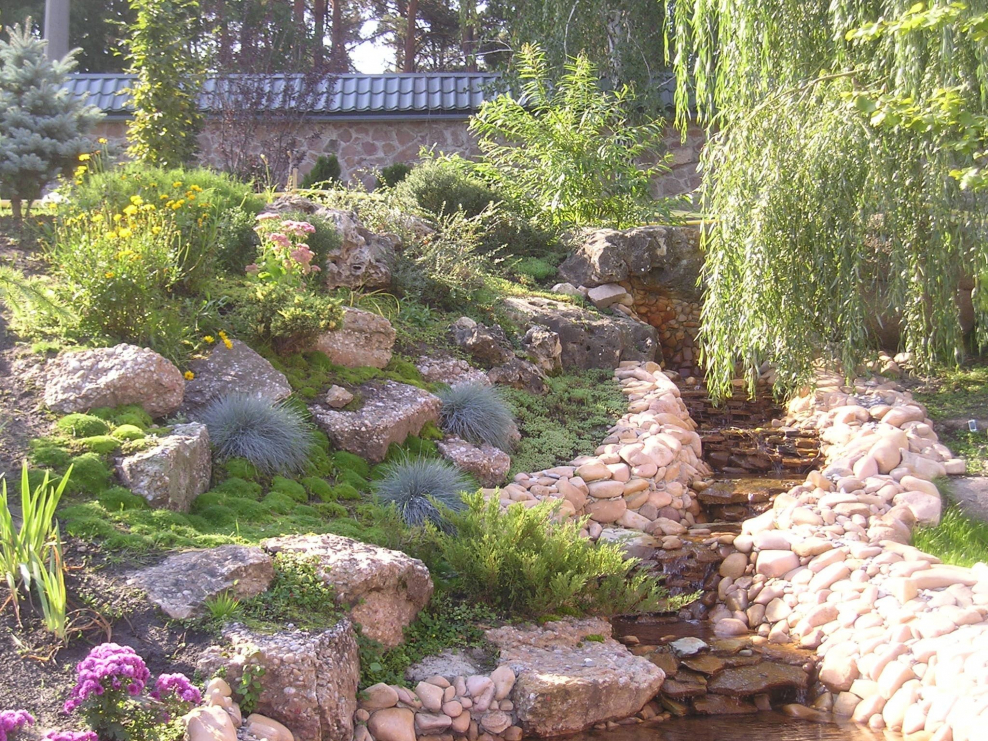 Сухой ручей Джон Брукс