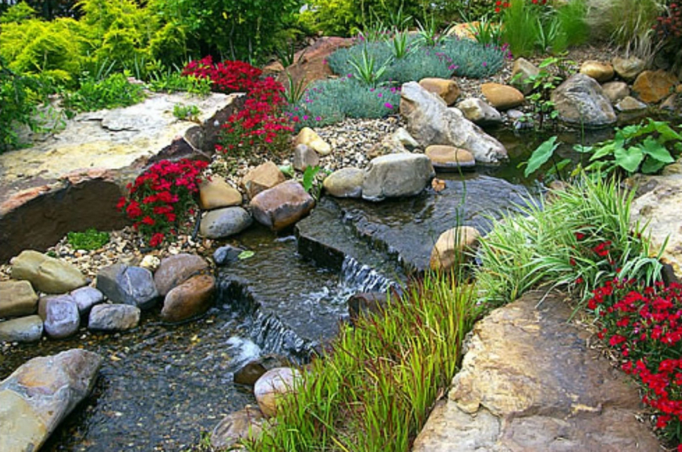 Миксбордеры с прудиком на даче своими руками фото