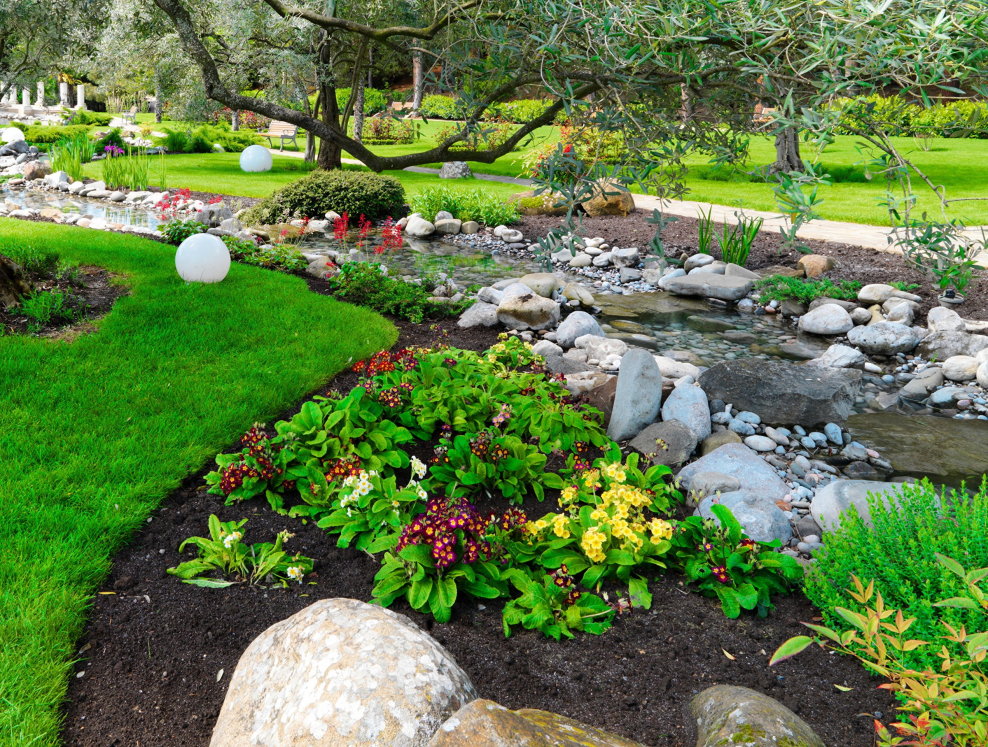 Примула в рокарии