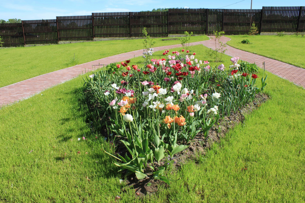 Цветочные клумбы на газоне