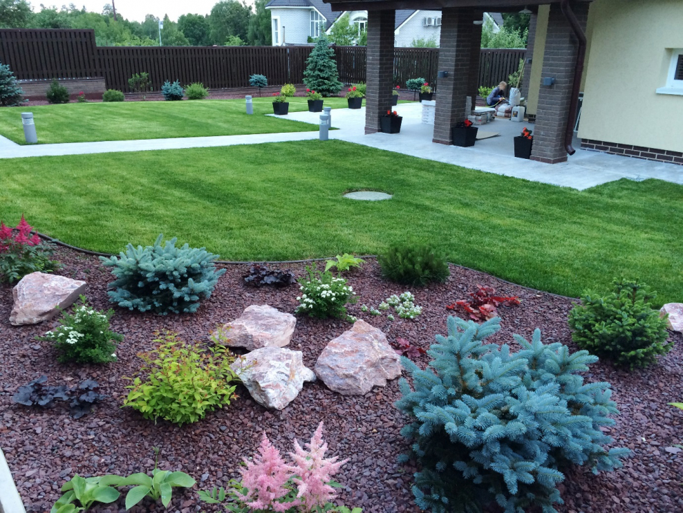 Островки на газоне