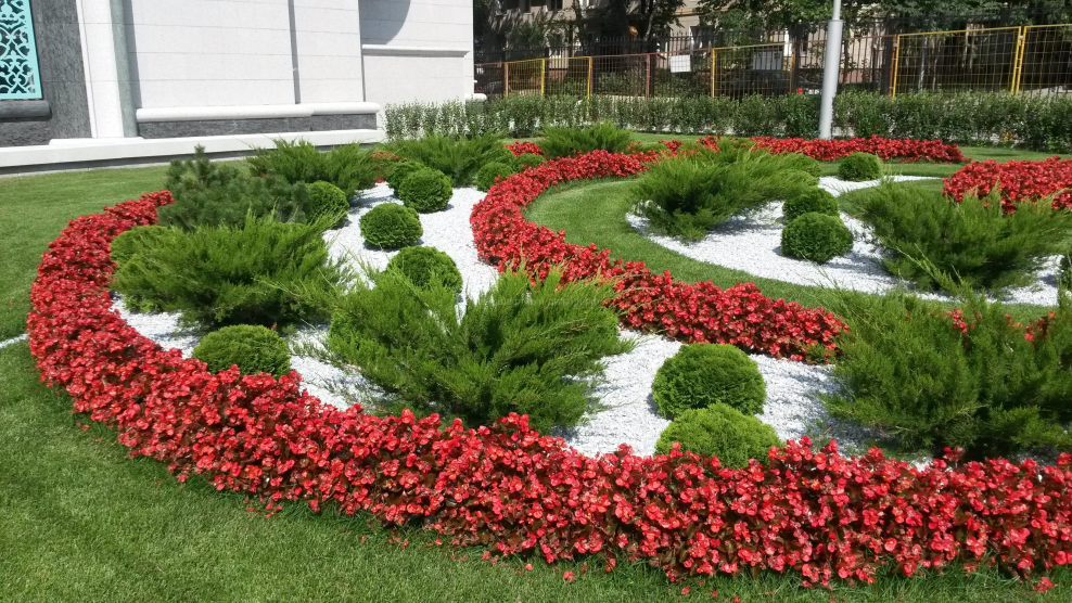 Озеленение клумб