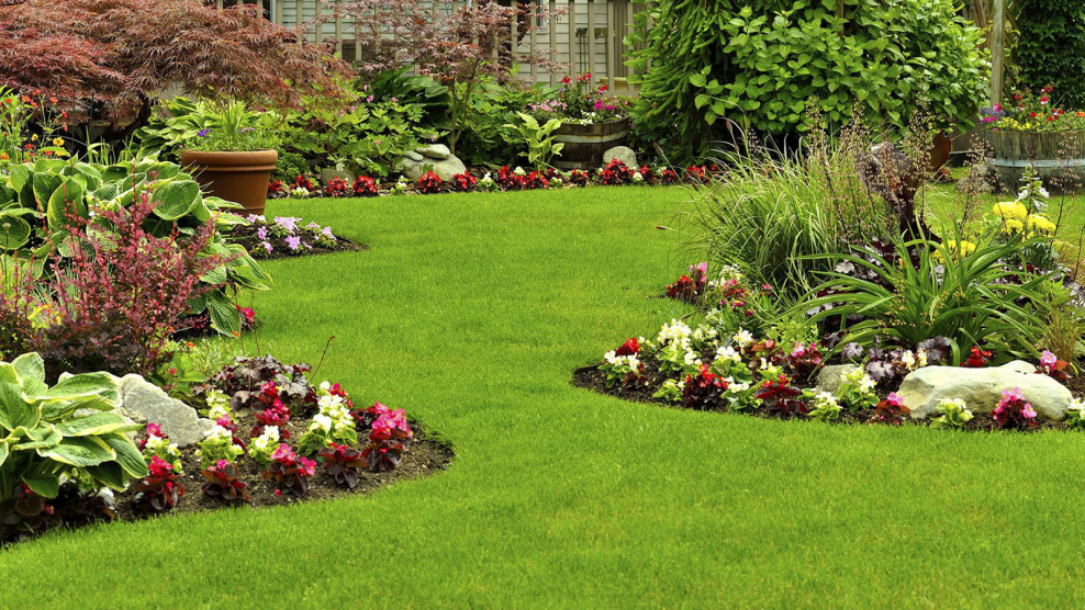 Газоны клумбы цветники