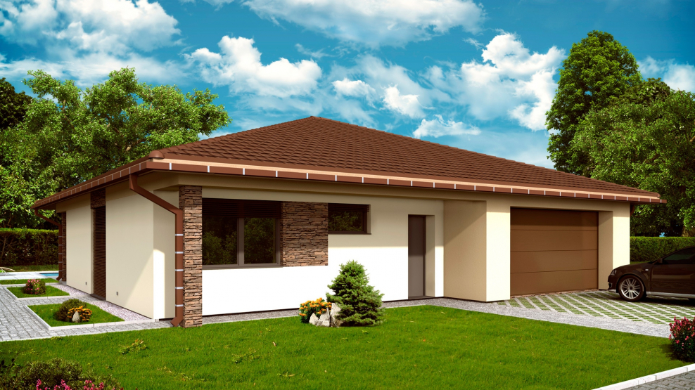 Одноэтажный с гаражом