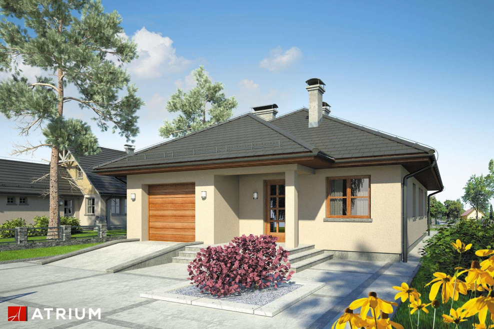 Небольшой одноэтажный дом с гаражом