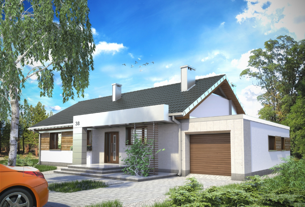 Одноэтажный дом с гаражом