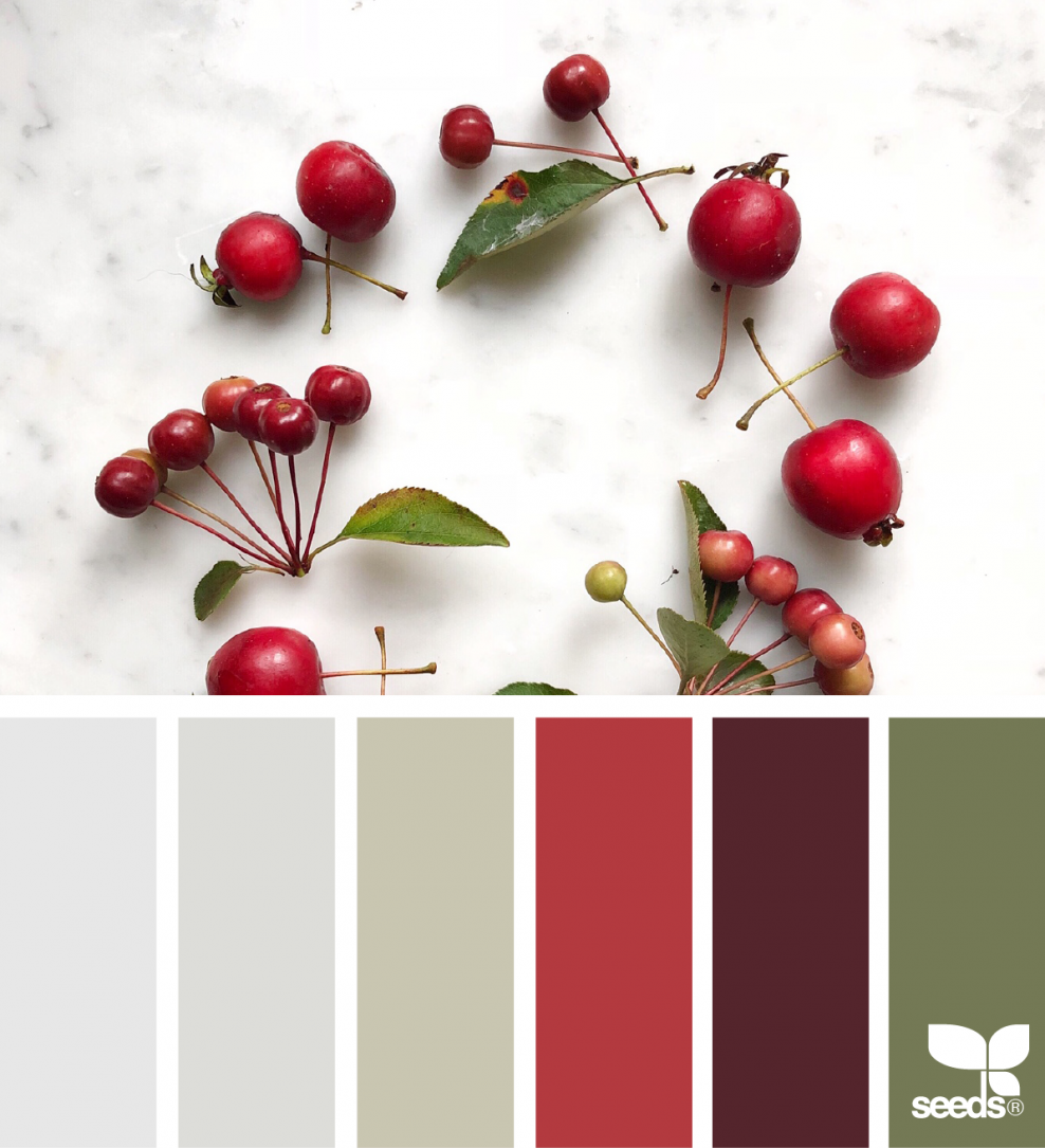 Цветовая палитра Seeds красный белый