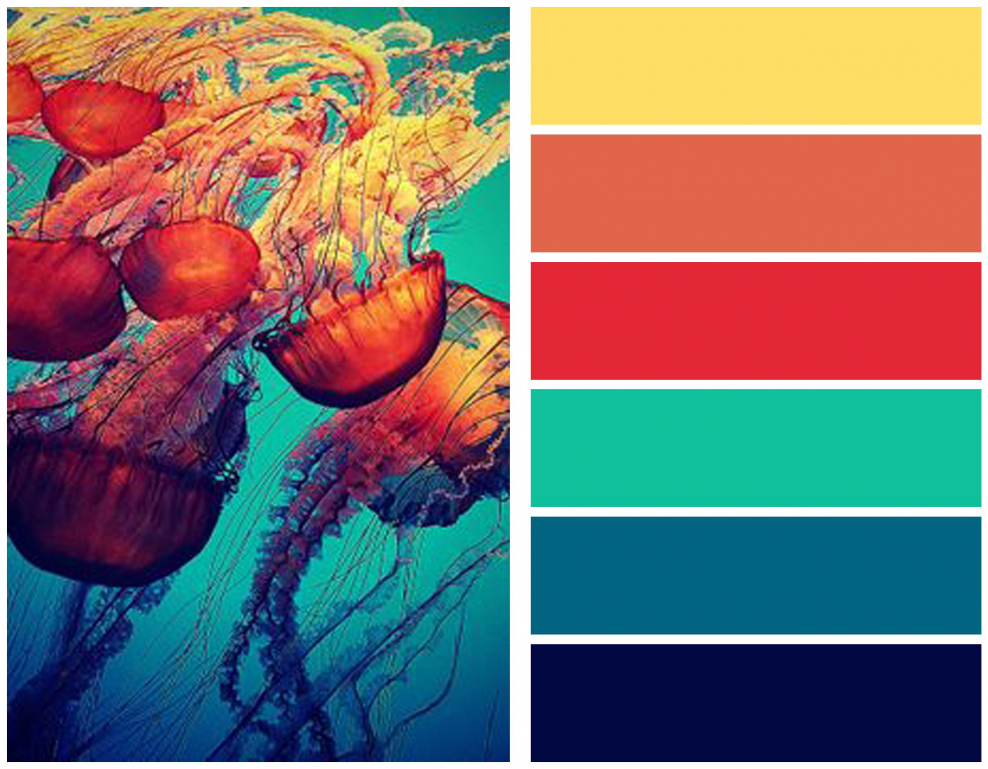 Сочная палитра