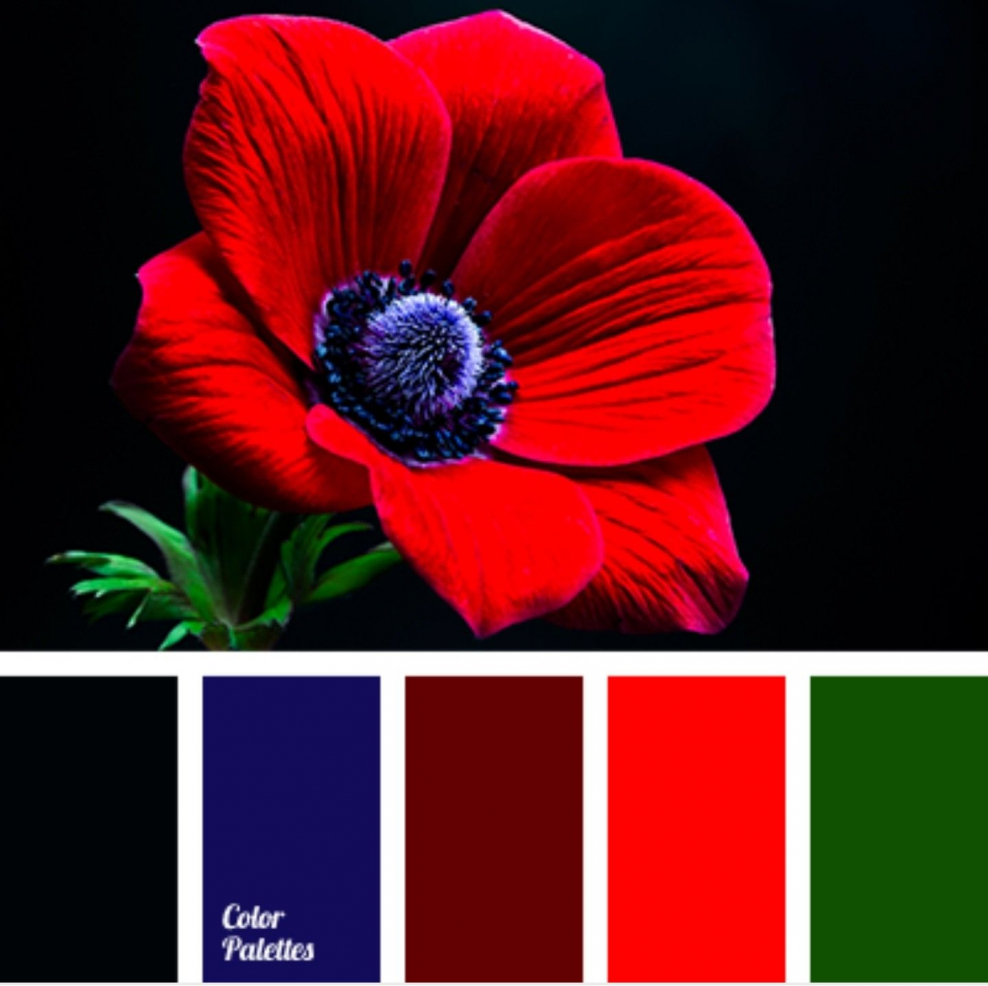 Цветовая палитра красный зеленый